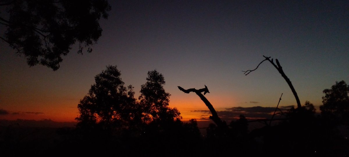IMissa0111's tweet photo. #Sunsetan https://t.co/dfps2oCMsG