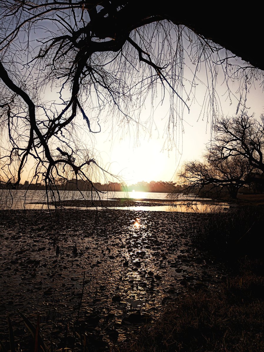 Shaunn84's tweet photo. Good morning everyone. #goodmorning #nature #landscape 
#photo #photooftheday #picoftheday #photography #sunrise #sunset #Motivation #inspiration #thursdayvibes https://t.co/Mnf2v4NttO