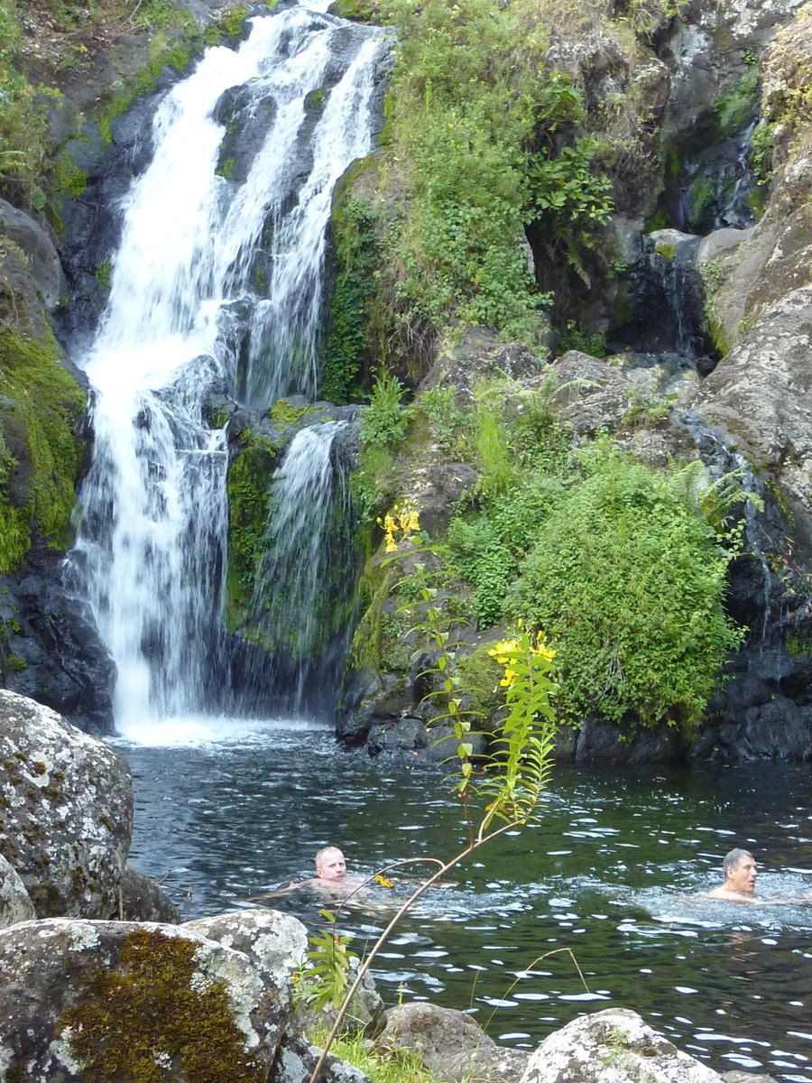 SENE_TZ's tweet photo. The Marangu waterfalls are a spectacular hidden secret of the Kilimanjaro slopes. During your stay at our Mbahe Cottages, we are more than happy to share the trails with you! #waterfall #MFH #SENE https://t.co/j4H13cA2WJ