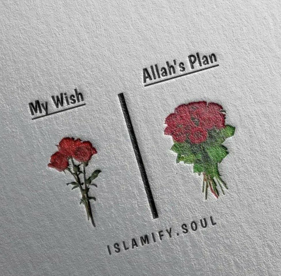 rizkysptra_id's tweet photo. My Allah gives the best ✨ https://t.co/mv2bB5pGki