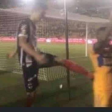 tigre que veo, tigre que pateo