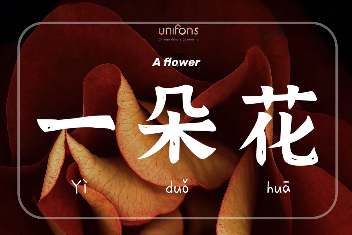 MingyanZhao68's tweet photo. “If you look the right way, you can see that the whole world is a garden.”– Frances Hodgson Burnett

你若盛开，蝴蝶自来。

#unifons
#西安
#culture https://t.co/ScW1i7A55N