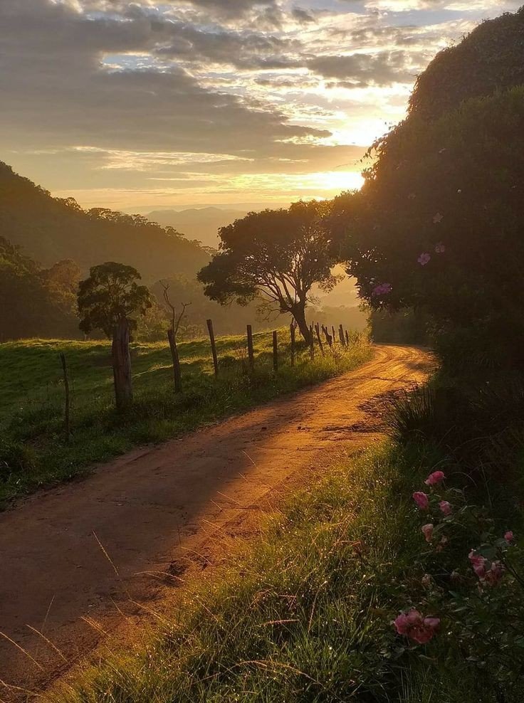 aestheticspost_'s tweet photo. Countryside. https://t.co/u7YgLP4TKN