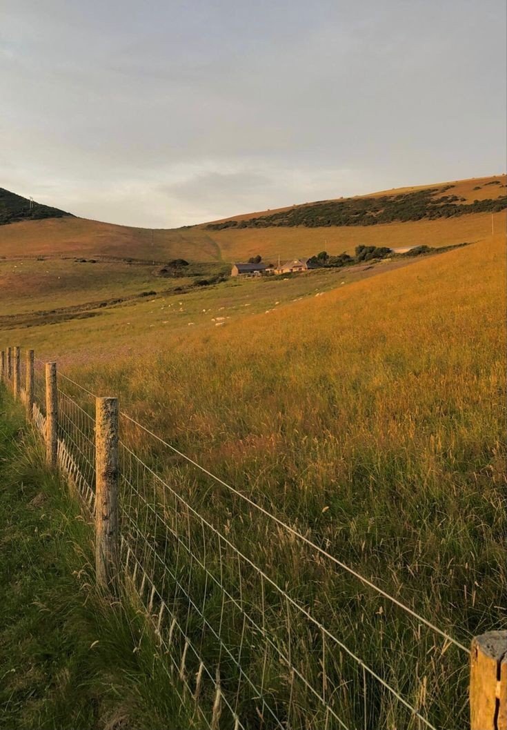 aestheticspost_'s tweet photo. Countryside. https://t.co/u7YgLP4TKN