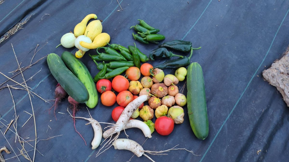 andrewkrug's tweet photo. Welcome to the time of year when a garden is a curse and a blessing.  #notsecurity https://t.co/OUy6Xa3lLe