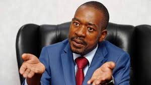 InnocentMujeri's tweet photo. That statement by @nelsonchamisa that the Citizens are the structures is nonsensical and childish. He must lead CCC to an elective congress and stop these childish political rhetorics https://t.co/mSpcFBwpwj