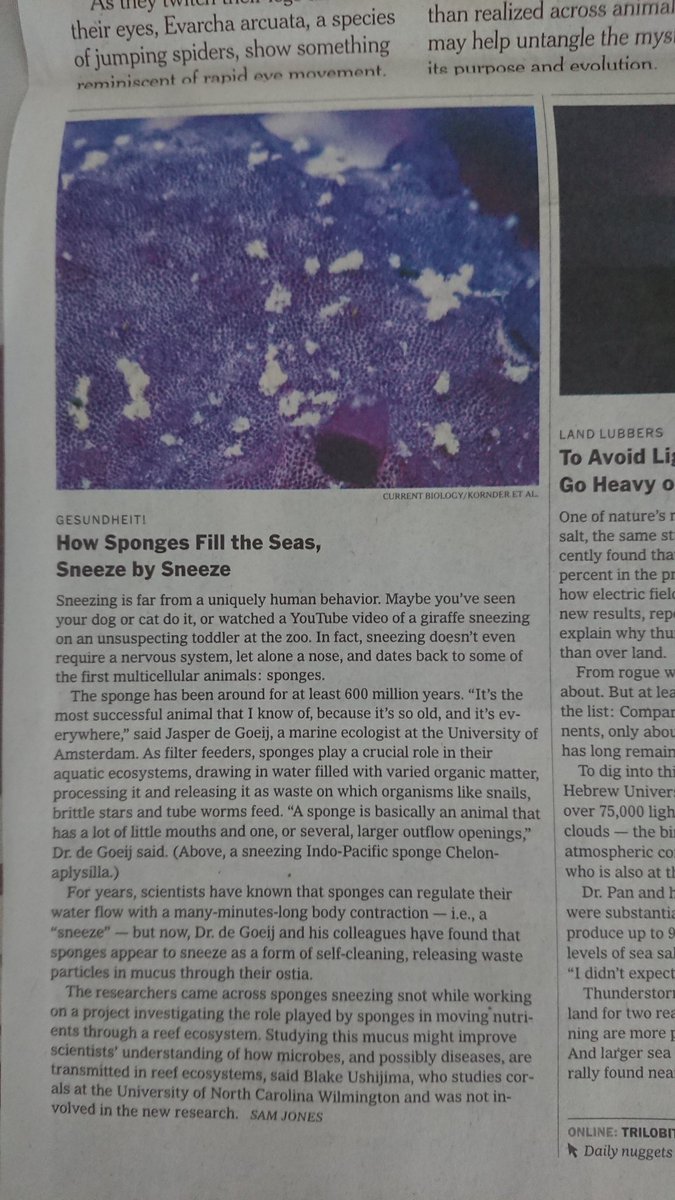 Ben Mueller tweet media