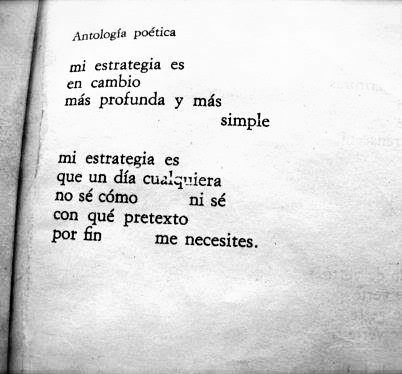 Letras Breves tweet media