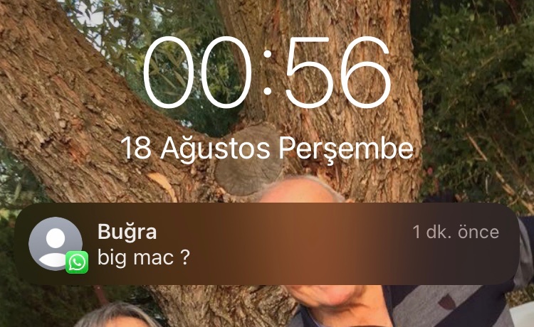gecenin bi vakti gelen big mac perileri 🧚🏻‍♀️