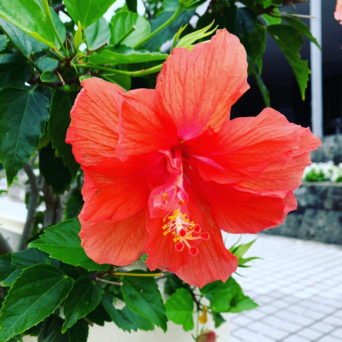 懸賞仲間さん募集中です♪

🌴懸賞垢さんフォロバ100
🌴懸賞好きな方と繋がりたい
🌴固定RT&amp;いいねのお返しします🙆‍♀️

今月の目標は2500人‼️
あと200人程で達成出来そうです✨
皆様ご協力よろしくお願いします🙇‍♀️

インスタも始めました✨
是非フォローお願いします👍
instagram.com/kamichamadesu/