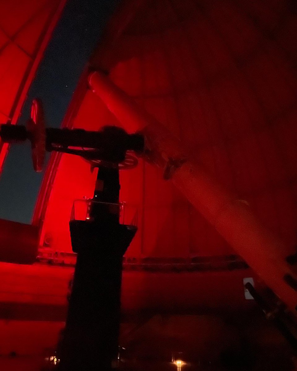 ★ dr amanda bauer ★ tweet media