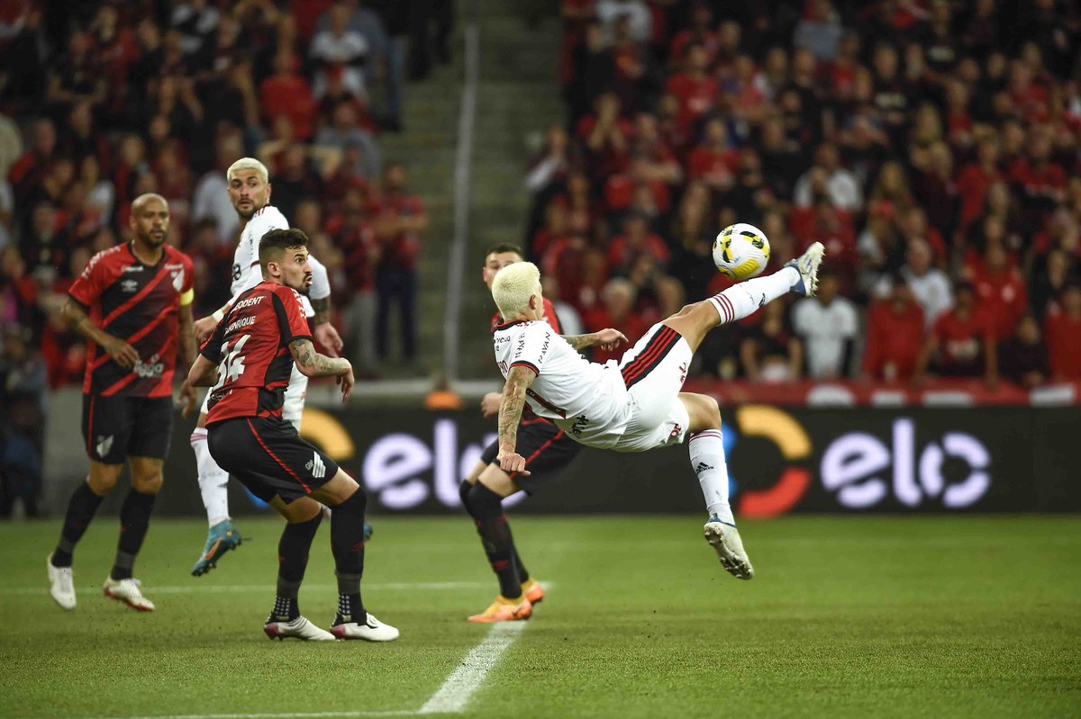 Flamengo's tweet photo. Achou que o golaço do Pedro não ia passar pela sua timeline de novo? Achou errado

Faça um FAVOR a todos que te seguem e coloque esta imagem na timeline deles também

#CRF #VamosFlamengo 

📸 @mcortesdasilva8 / CRF https://t.co/cAAKMi42iY