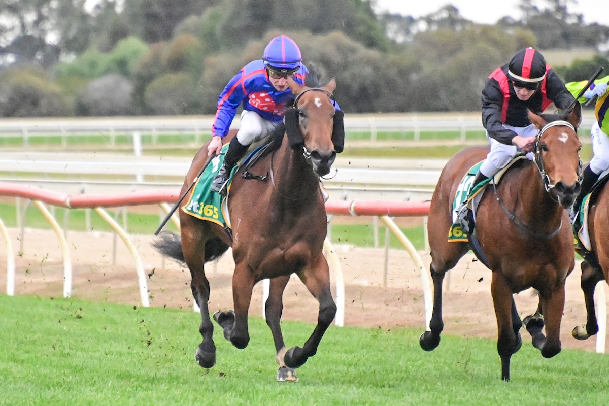 RolltheDiceRace's tweet photo. Terrific debut win from our 3YO filly #Anahita by who scored nicely @echucaracingclub  This filly was purchased @mmsnippets &amp; was found by our bloodstock guru @rogersbstock First win for  @mattlaurieracing &amp; great steer from @stacki25  #StartRolling #ruready2RTD #anahita #Shalaa https://t.co/tzLCwtxscz