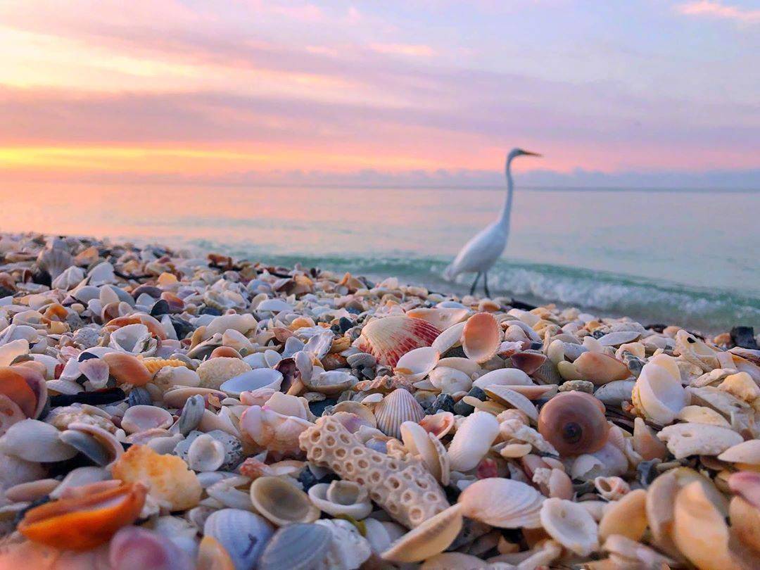 ViVi Tong tweet media