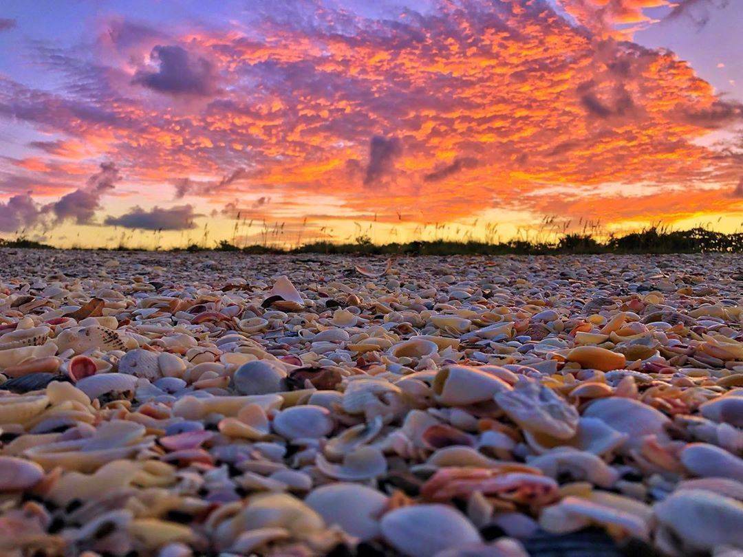 ViVi Tong tweet media