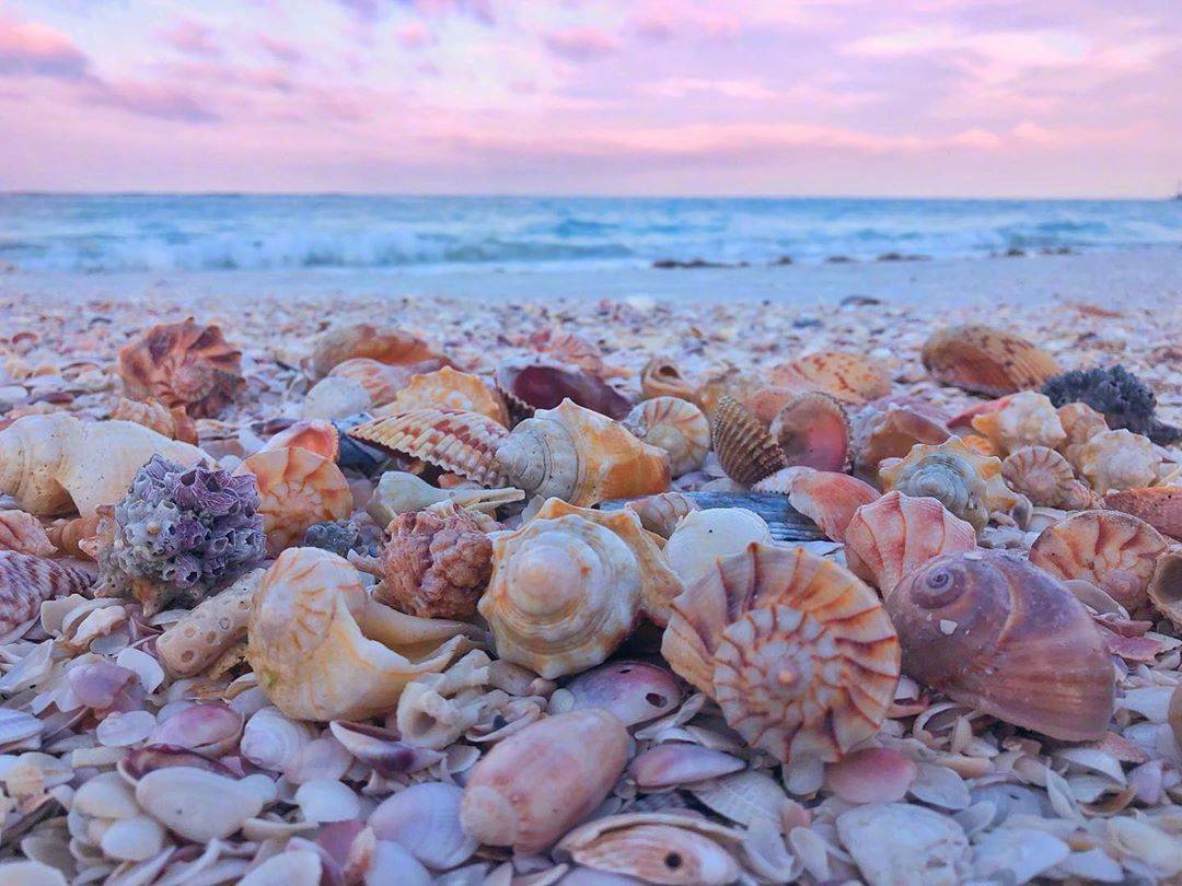 ViVi Tong tweet media