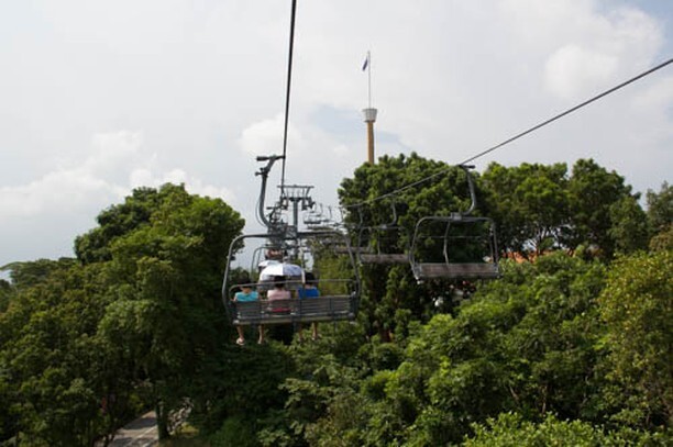 Photo4Stock's tweet photo. The skyride ride in Sentosa in Singapore. The ride gives 2 options - either go to a certain height and ride a luge downhill or go in the elevated chair all the way to the end at treetop level (that was fun). #singapore #skyride #Sentosa #Fun
Get this for kids - Singapore Tra… https://t.co/6c2dt8XDy2