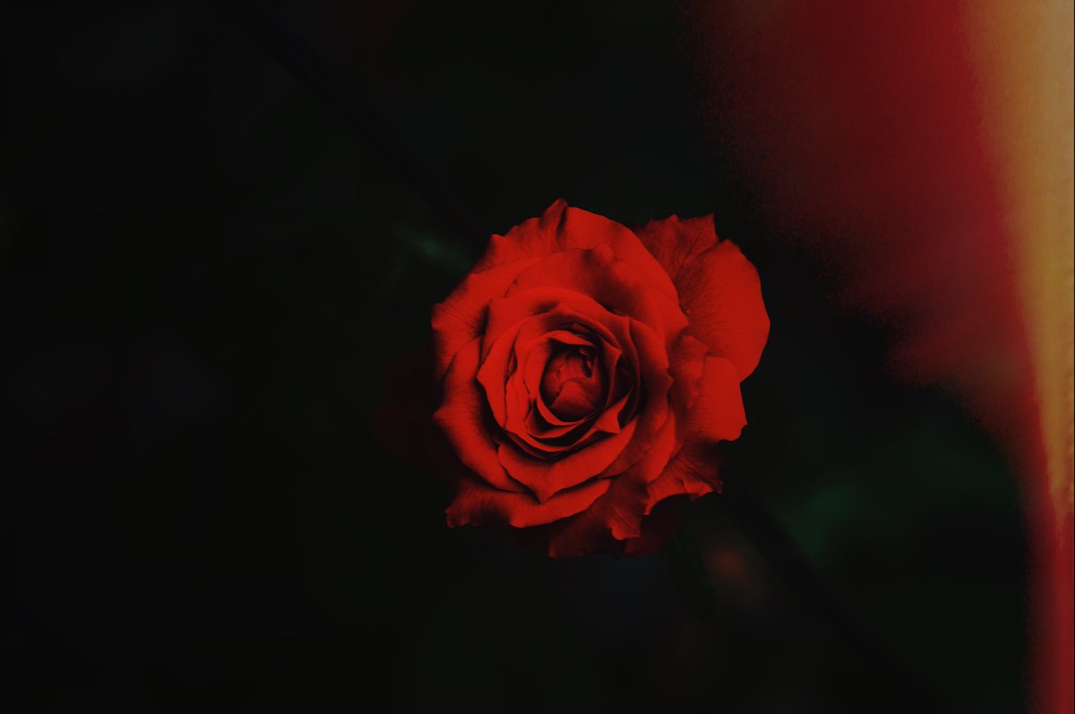 diuRHETTic's tweet photo. Tried @vsco latest preset. #XProcessed #sony #sonyph https://t.co/ohoqYC9gum
