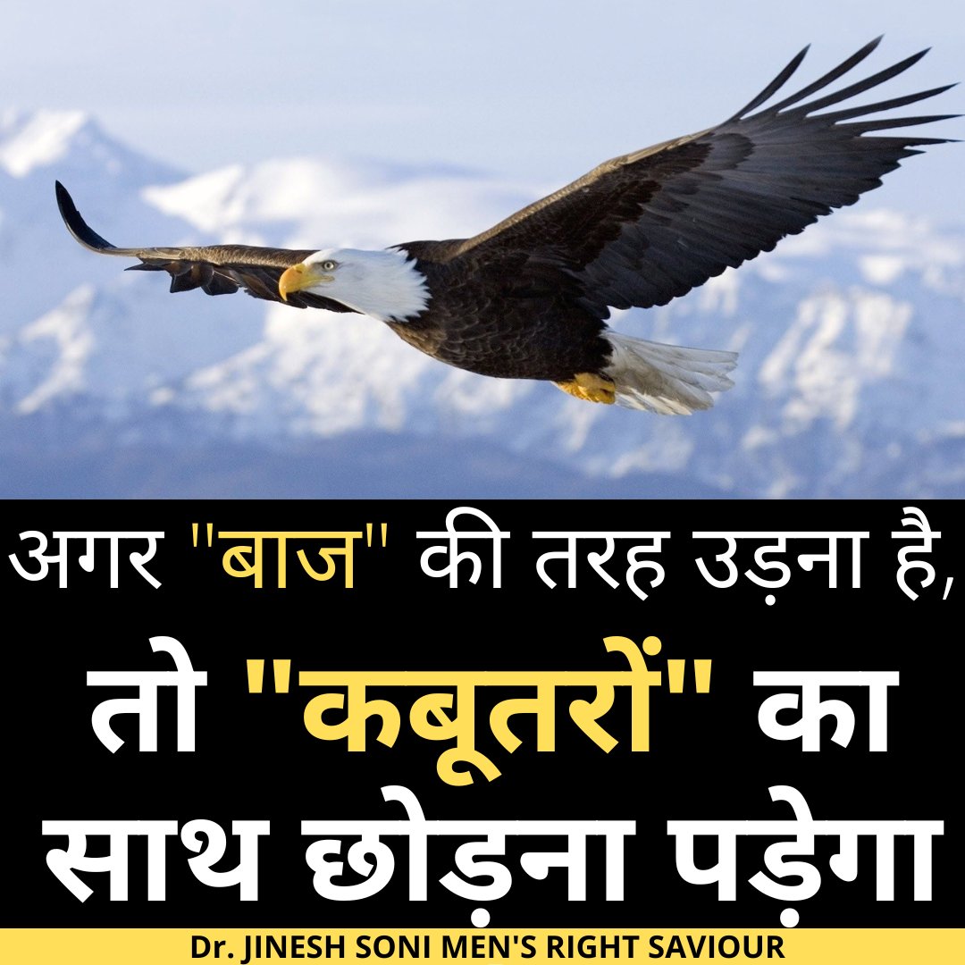soniarenaajmer's tweet photo. #motivation #winning #success #soniarena #instathought #instaquote #inspiration #history #success #will #effort https://t.co/LOgb7ROsSG