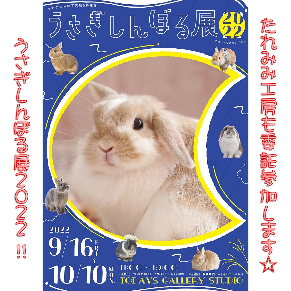 うさぎと暮らす 編集部 Usakurastaff Twitter うさぎと暮らす 編集部 Usakurastaff Twitter