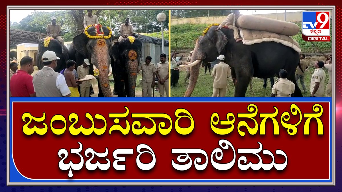 tv9kannada's tweet photo. Mysuru Dasara ಹಿನ್ನೆಲೆ ಜಂಬುಸವಾರಿ ಆನೆಗಳಿಗೆ ಭರ್ಜರಿ ತಾಲಿಮು | Tv9 Kannada
Video Link►https://t.co/JjEkdhYpHl
#ChamundiHill #WadiyarDynasty #MysorePalace #PramodaDevi #Rajmatha #RoyalFamily https://t.co/k5bGp9F523