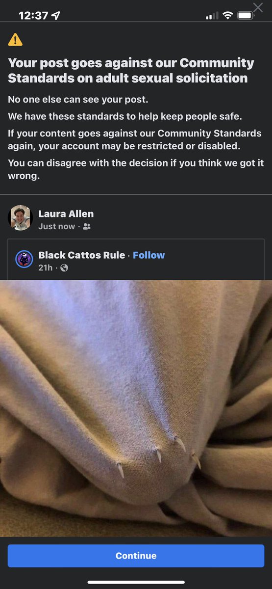 LauraThrows's tweet photo. Apparently #Facebook #Meta is catphobic. Care to explain? 👩🏻‍💻 https://t.co/X63Js9Wv4t