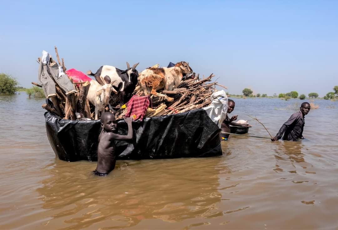 LicypriyaK's tweet photo. Dear World, 
52 people died &amp; over 2500 homes washed away due to flash floods in Sudan in North Africa. Just keep watching because it's in global south.

And your leaders and global media will not tell this. https://t.co/JuuMrxBPar