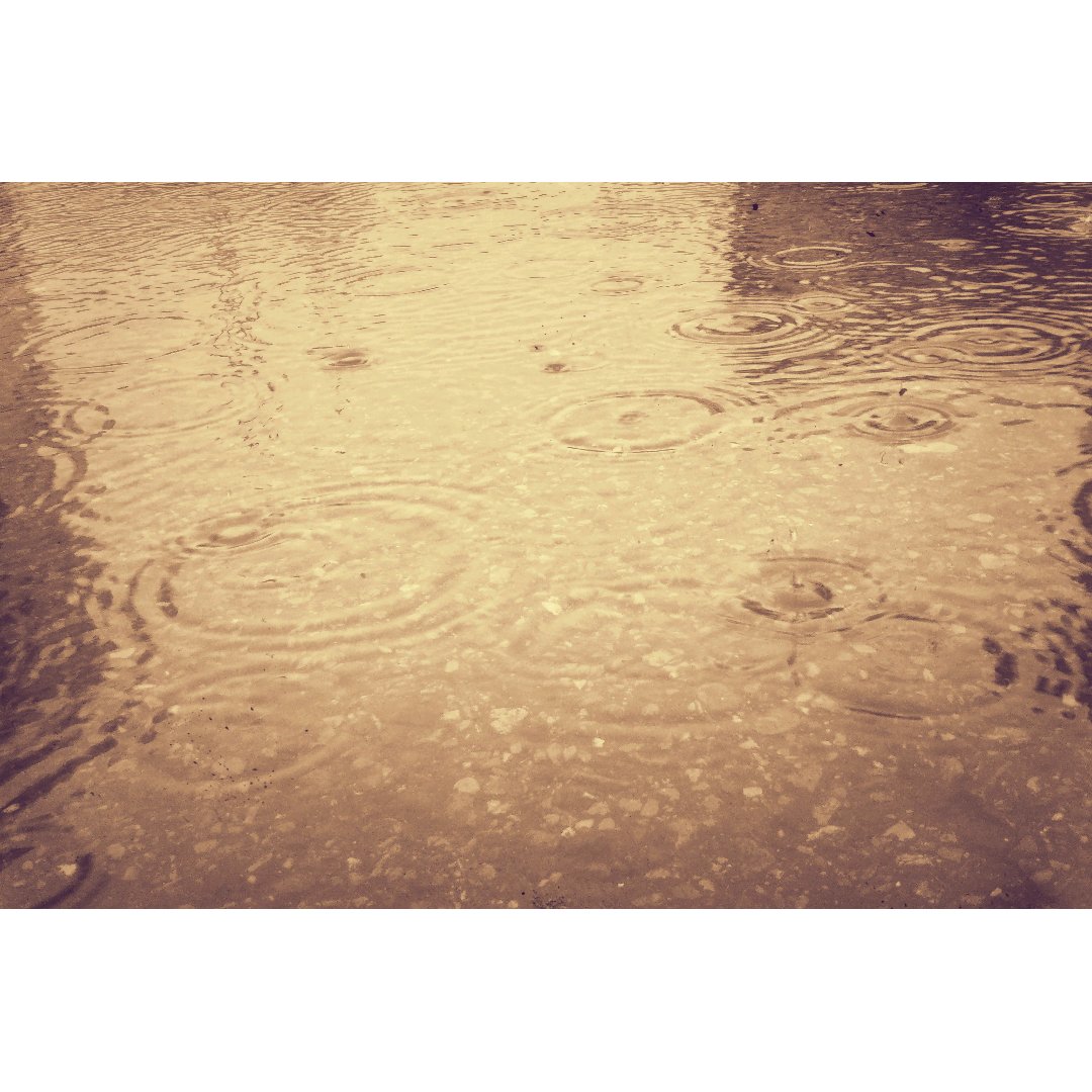 水溜まり Twitter Search Twitter 水溜まり Twitter Search Twitter