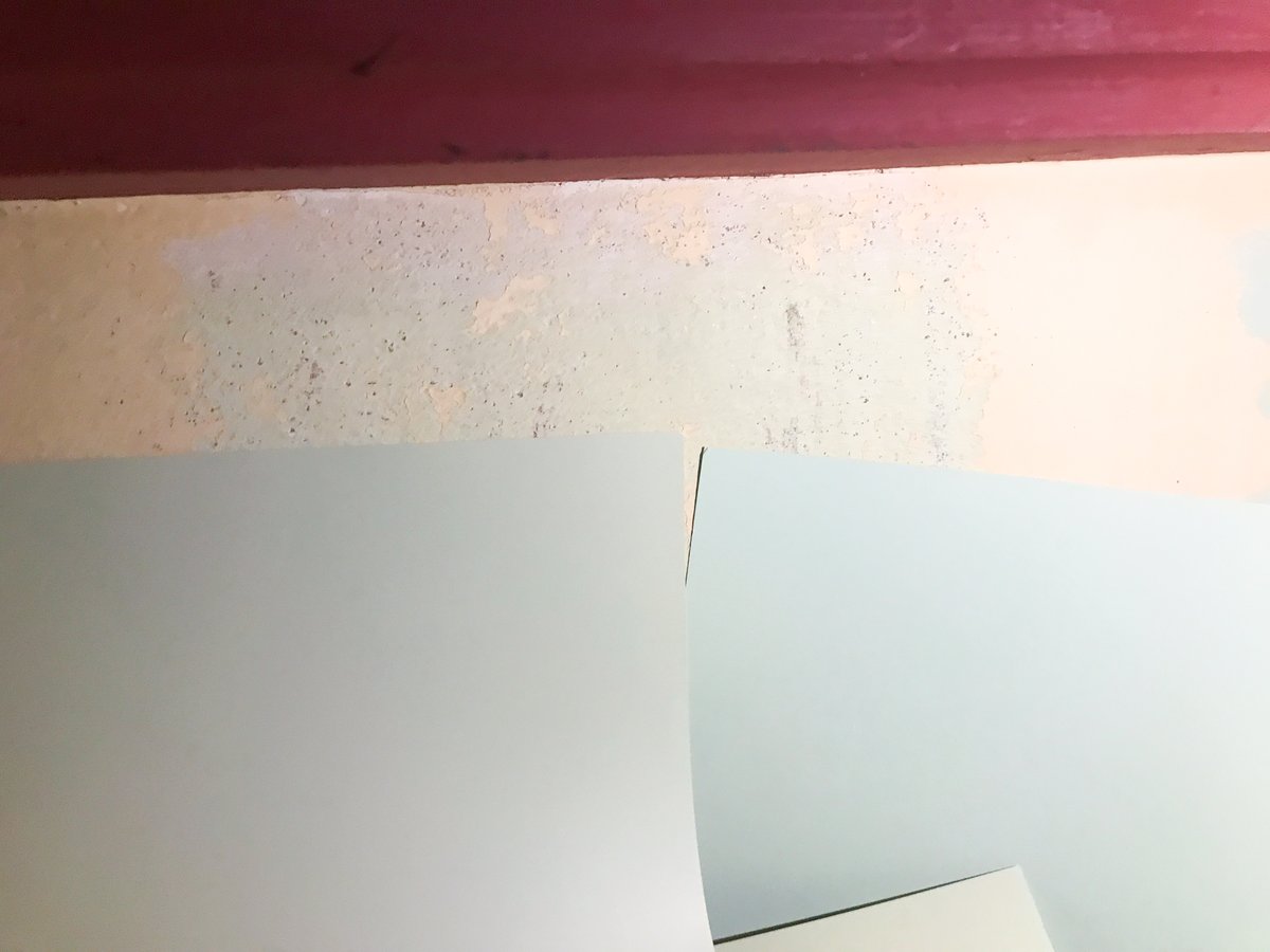 element WA tweet media