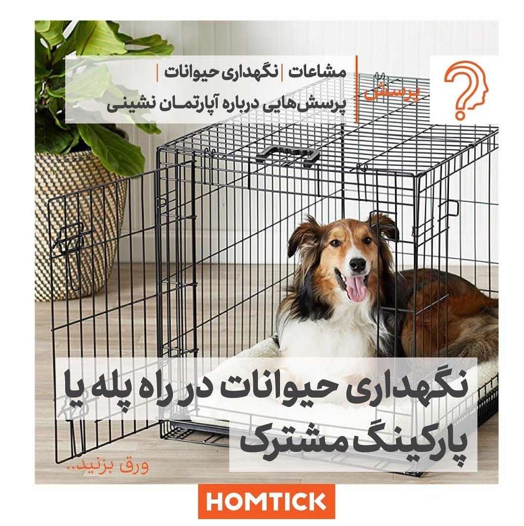 homtick's tweet photo. #دانستنی ها
🔴نگهداری #حیوانات در راه پله یا پارکینگ مشترک👇👇
 جواب در ریتوییت
با #هومتیک ساختمانت را مدیریت کن https://t.co/WGRE3WI9sr