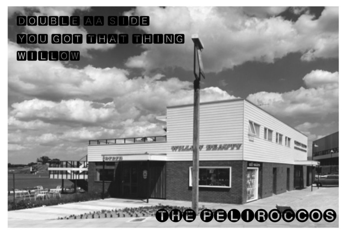 Willow/You Got That Thing - Double AA Side - 28th August 
#NewMusic #Spotify #peliroccos