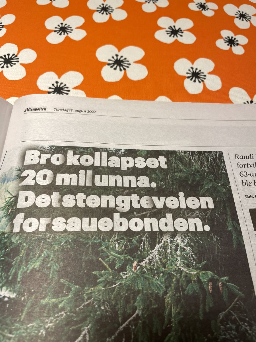 Elisabeth tweet media