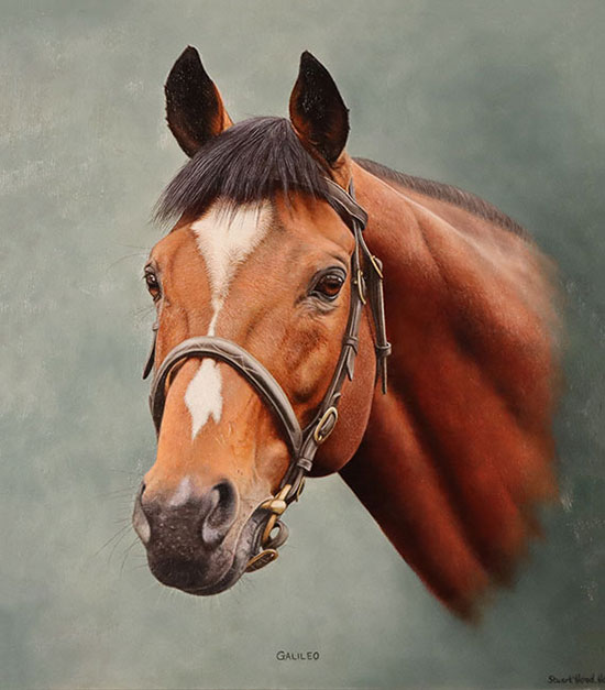 As racegoers galore fill the streets of York for this years' Ebor Festival, it seems only fitting that we take a moment and appreciate this exquisite portrait of champion thoroughbred Galileo by Stuart Herod. 🏇🏇🏇 #eborfestival #galileo #equestrianart