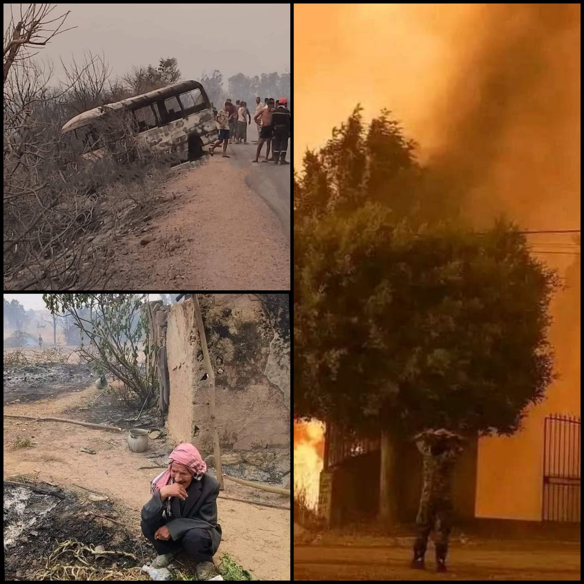 JugurtaMammeri's tweet photo. Que dieu protège nos frères et sœurs 🙏🕊️
Que dieu protège notre pays 🇩🇿
#Algerie #Incendies #bejaia
#الطارف 
#سوق_اهراس https://t.co/VjbjaROawP