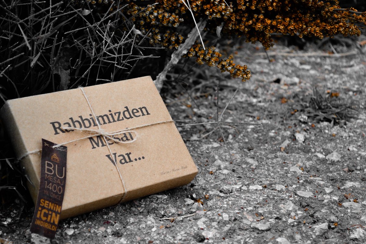 tevhidmeali's tweet photo. “Rabbimiz! Azabı bizden gider. Hiç şüphesiz biz, müminleriz.”

(44/Duhan Suresi, 12) https://t.co/Ca3wtN8zuf