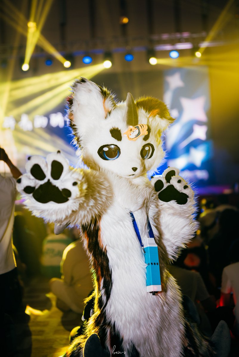MatchaDoggy tweet picture
