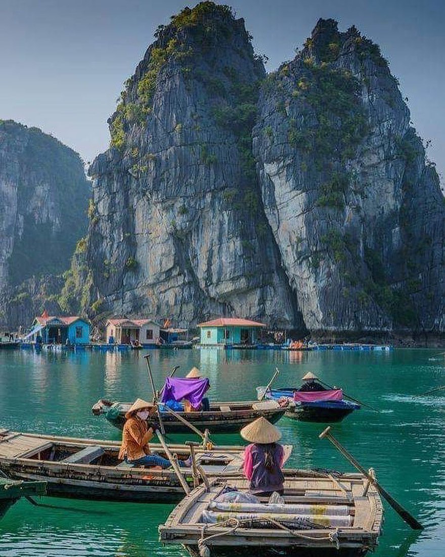 Mily1Viajes's tweet photo. Los arrozales de Sapa y la bahía de Halong fueron dos de los paisajes que más nos fascinaron en nuestro viaje por Vietnam. A ambos les dedicamos este artículo y un entretenido podcast en nuestro programa en @RadioViajera #viajar #turismo 
https://t.co/DC09SKZCZu https://t.co/MG45NAY96n