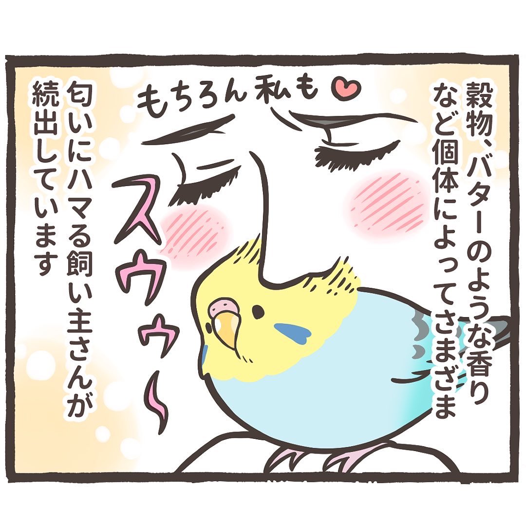 スンスンスゥゥゥン🦜🤤
トリ扱い説明書の漫画をアップしました⤴️
↓
https://t.co/b0yIvRMkwZ 