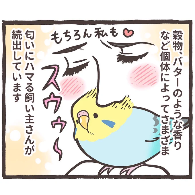 スンスンスゥゥゥン🦜🤤
トリ扱い説明書の漫画をアップしました⤴️
↓
https://t.co/b0yIvRMkwZ 