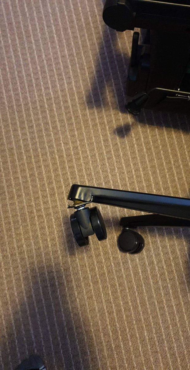 Pinolicious tweet media