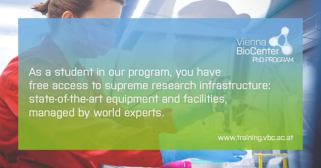 TrainingVbc's tweet photo. The @viennabiocenter PhD Program Autumn call opens 1 Sept. 
25 fully-funded positions in the Molecular Biosciences for motivated young researchers in the life sciences.
Please RT!
https://t.co/Eamzzj3uJt
@IMPvienna @IMBA_Vienna @gmivienna @MaxPerutzLabs @univienna @MedUni_Wien https://t.co/dFF24XFI9K