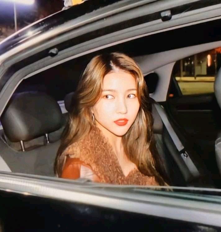WJSNGFRD's tweet photo. HOTTEST GIRLS IN YOUR AREA??!!

#GFRIEND #SOWON
#WJSN #SEOLA https://t.co/CSr9hDUa9Q