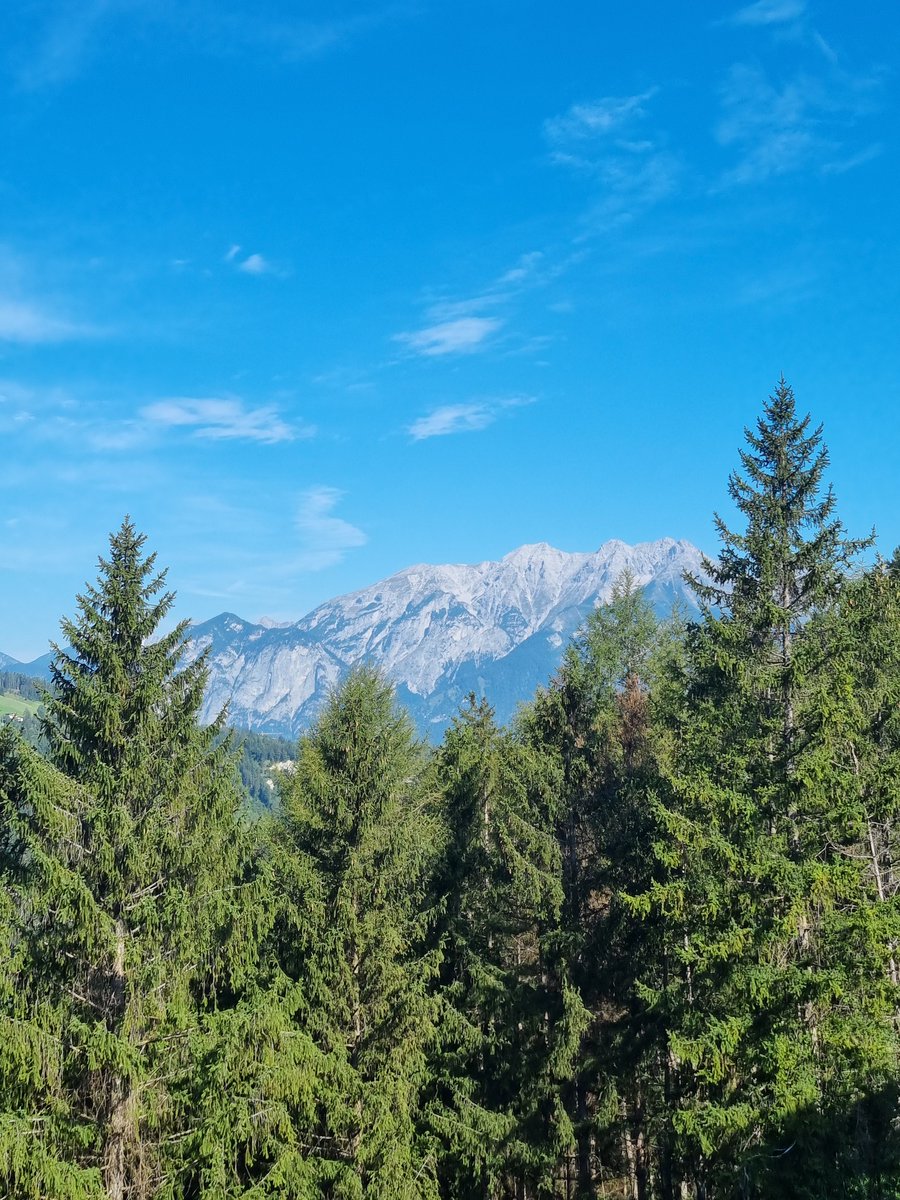 Travelsure tweet media