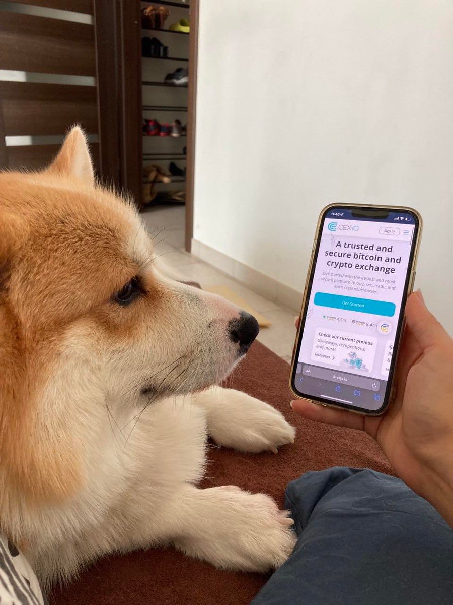 cex_io's tweet photo. Happy #InternationalDogDay! 🐶

Meet Bruno – he is ready to start his #trading journey with CEX·IO! 💕 

How do your dogs trade? 
1⃣ Tweet a photo of your dog trading on CEX·IO 
2⃣ Use hashtag #DOGSTRADEONCEXIO
3⃣ We'll pick 2 random accounts and send them $50 each https://t.co/a97MYJODUw