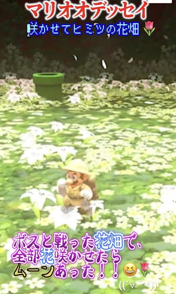 黒猫 のゲーム 部屋 Blackcatcafe Twitter