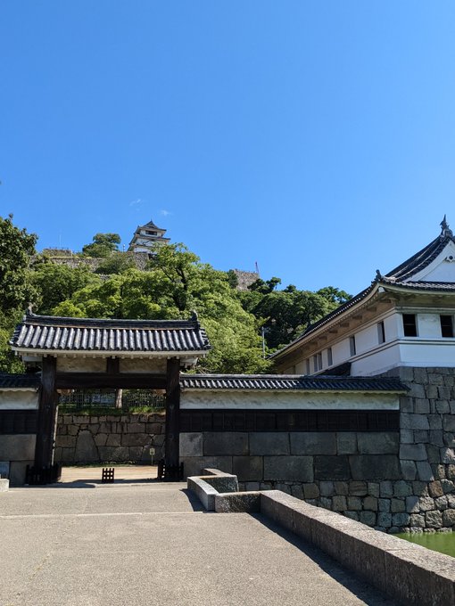 皆様今晩は☺
今香川丸亀市にいる菊です☺

丸亀といえば丸が‥(それ以上いけない)
現存十二天守の丸亀城行ってきましたヽ(='▽`=)ノ
そして名物骨付き鶏🐔
親鶏は身も固めですが歯ごたえあり☺
ビール🍺がススム君ですヽ(='▽`=)ノ♥ 