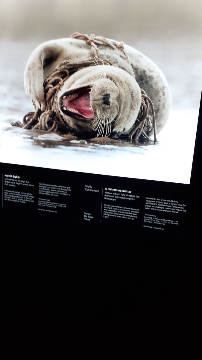 Brilliant exhibition yesterday @AmgueddfaCymru @NHM_WPY Gave us a chance to discuss endangered habitats, climate change and how we can make a difference #NationalLottery #TogetherForOurPlanet @TNLComFundWales @InnovateTrust @WCVACymru #biodiversity