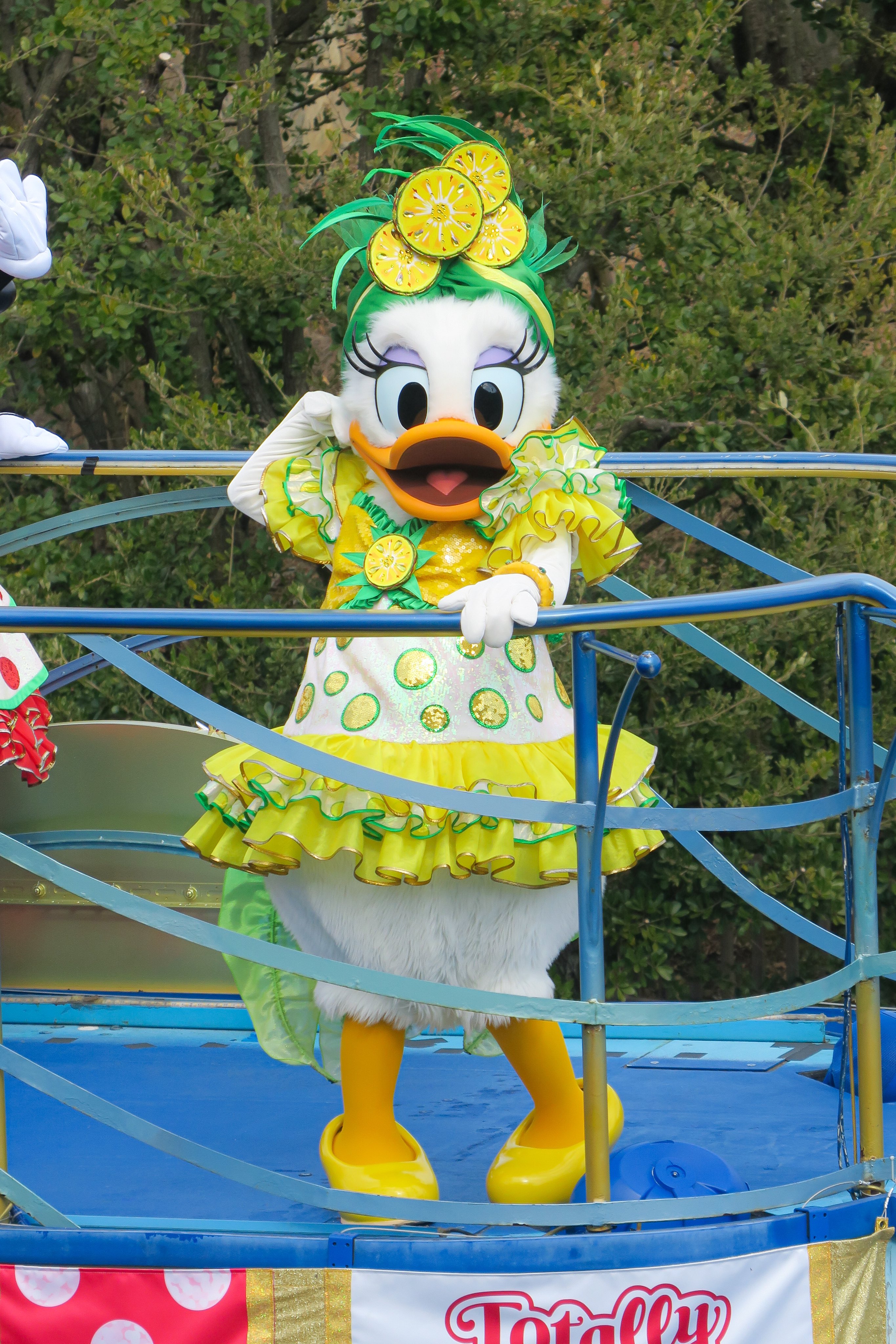 つっちー Dあか Tsuchi Disney Twitter