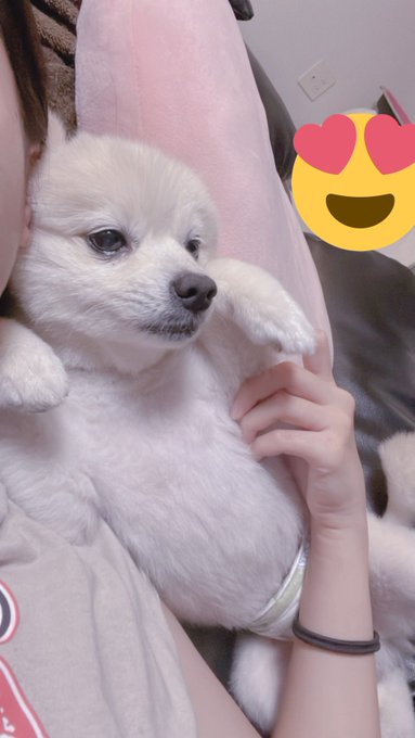 Twitterのコスプレ画像13