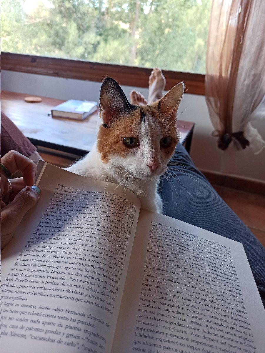 paralaj3's tweet photo. ha oído un ruido https://t.co/etO2X1d4Wb